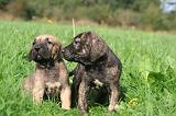 FILA BRASILEIRO 178